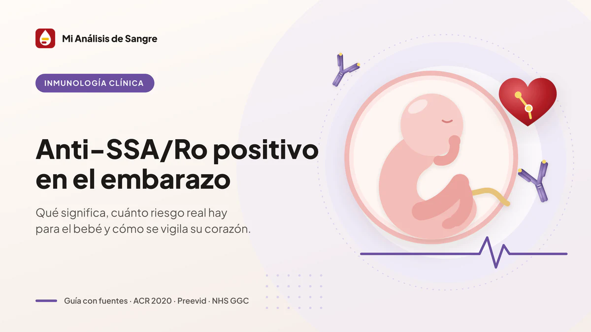 Feto en el útero entre anticuerpos anti-SSA/Ro en forma de Y, junto a un corazón con su vía de conducción y un ECG